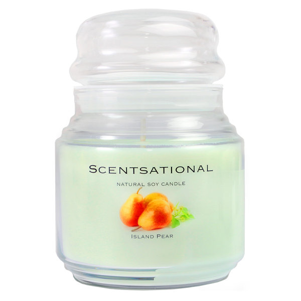 SCENTSATIONAL Island Pear Scented Jar Candle with Glass Holder Wayfair